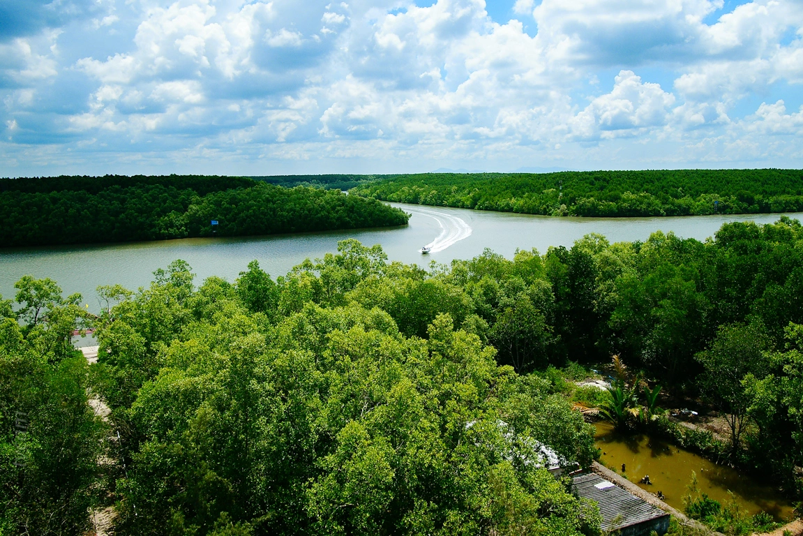 Vam Sat Ecotourism Area in Can Gio. Photo: HCMC Department of Tourism