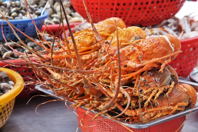 Green lobster prepared in various ways such as steamed with lemongrass, grilled with cheese, stir-fried with garlic, or simply grilled. Photo: Huynh Nhi
