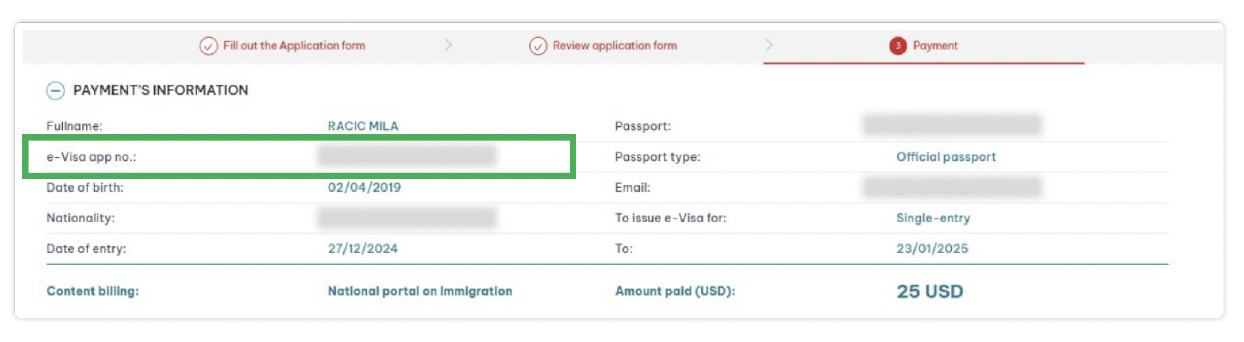 Applying E-Visa Instruction